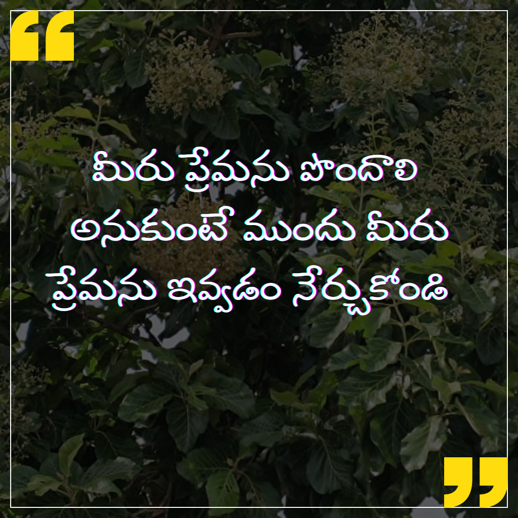 Telugu Motivational Quotes