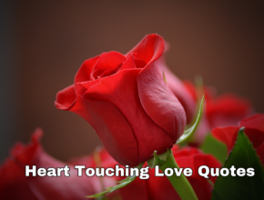 heart touching love quotes in telugu