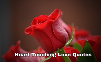 heart touching love quotes in telugu