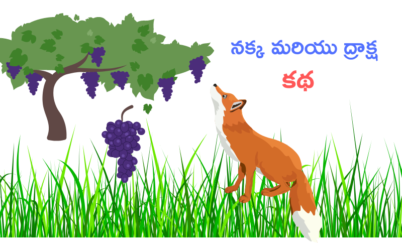 The Hungry Fox And Grapes Telugu Moral Story/తెలుగు నీతి కథలు/telugu ...